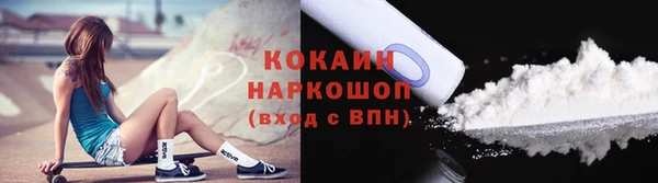 дживик Арсеньев