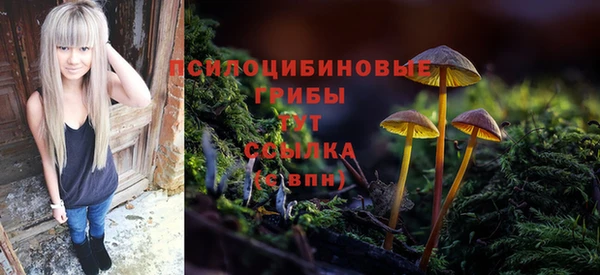 ALPHA PVP Армянск